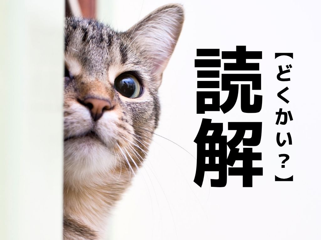 【読解】は「どくかい」とは読まない！？正しい読み方知ってる？【漢字クイズ】