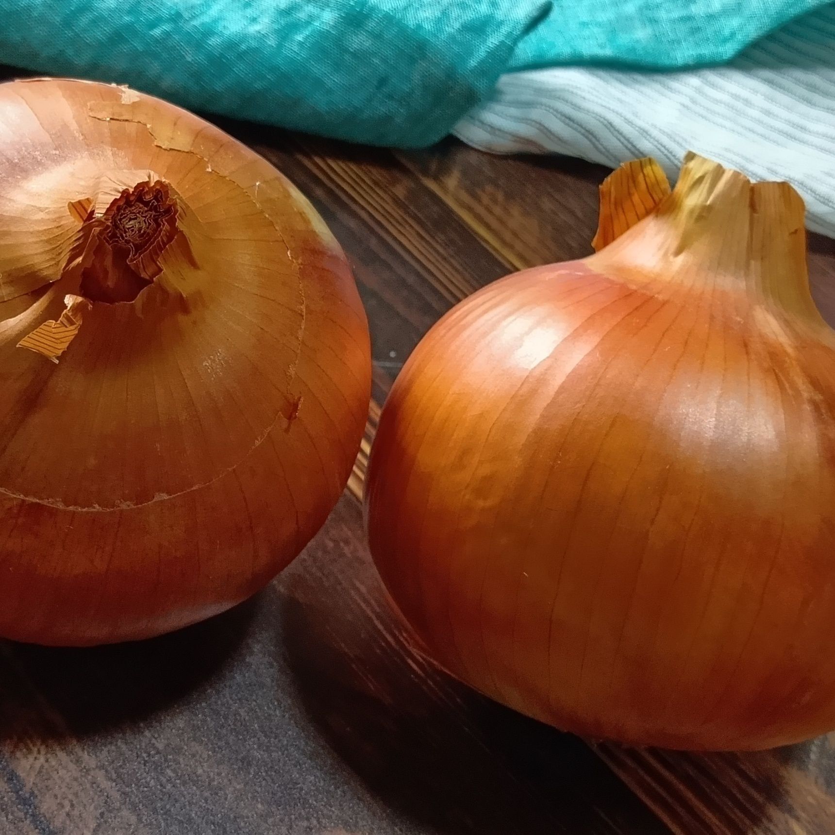 最後に、玉ねぎの上の部分を軽く押してみてくださいね。