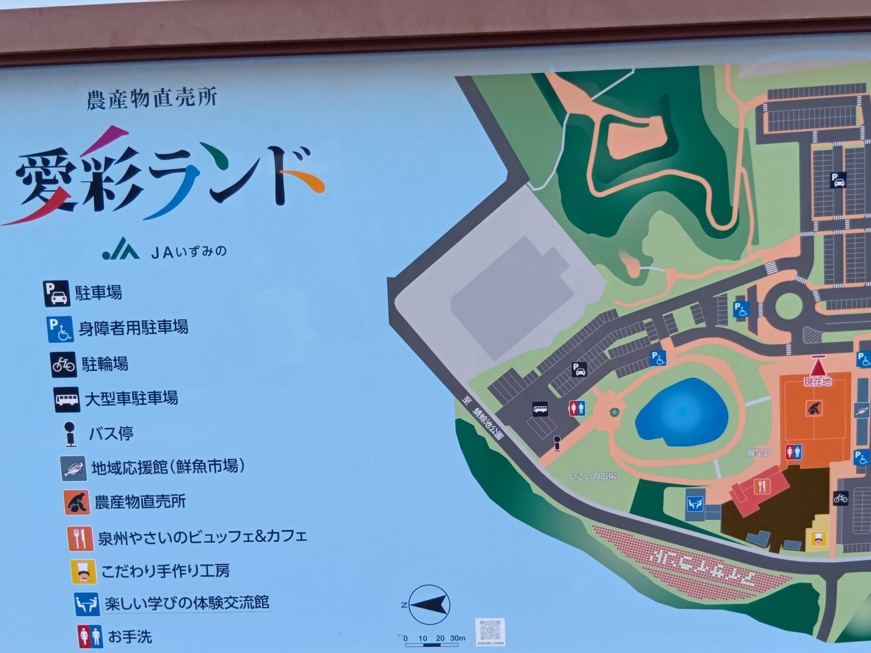 道の駅 愛彩ランドは、岸和田市の農産物直売所を中心とした道の駅で、地元・泉州産の野菜がたくさん並ぶ場所なんです！