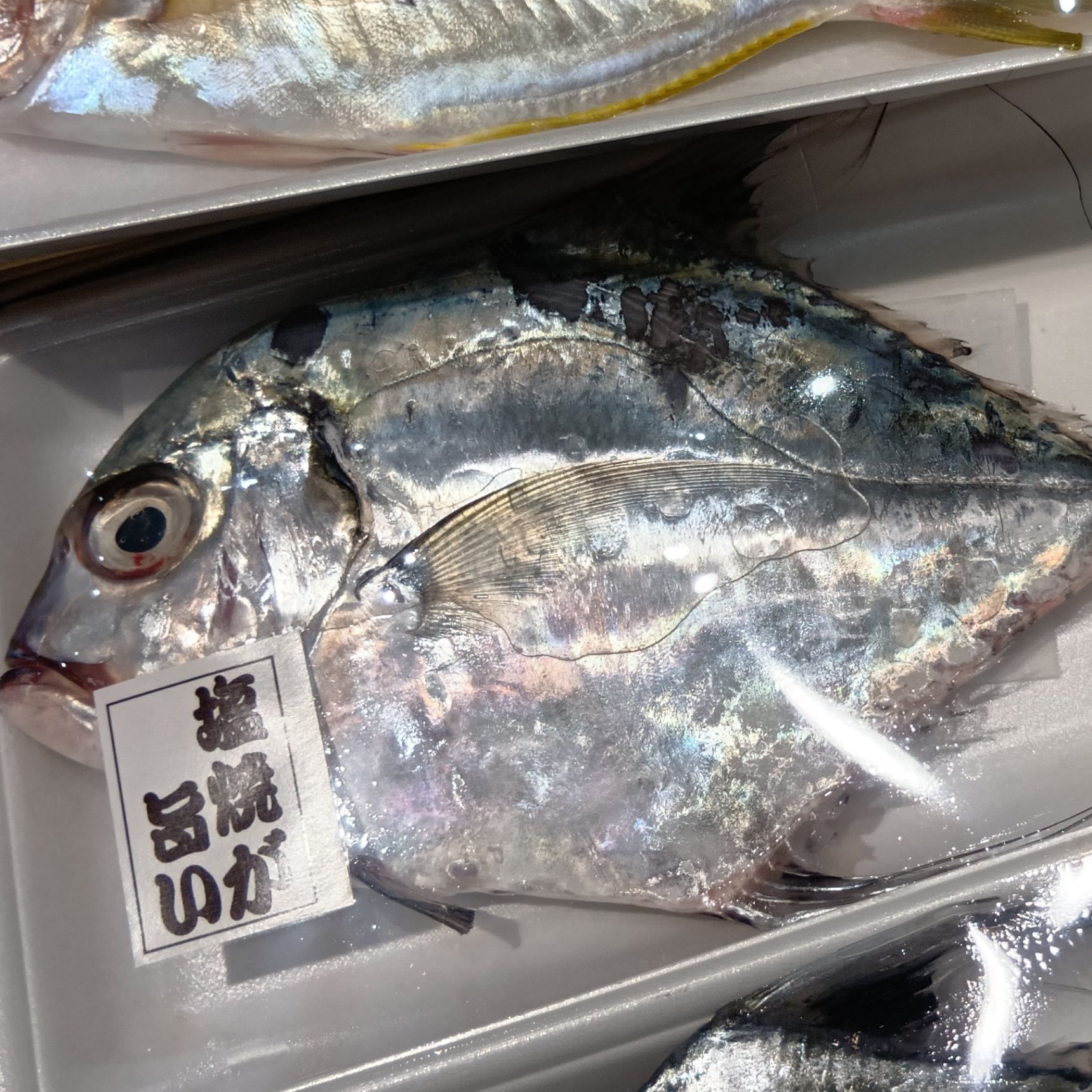  では、さっそく「目利き」です！