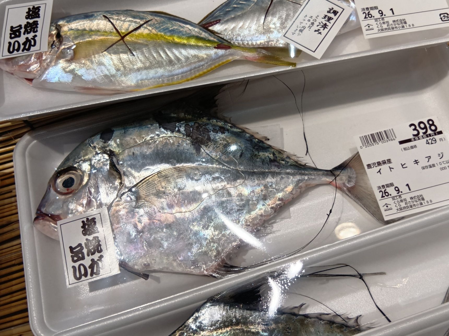 珍しい魚がずらり？！全国で１店舗だけ！レアな「くら おさかな市場」へ！魚の目利きはやっぱりココね～！