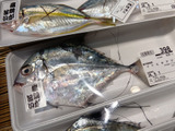 珍しい魚がずらり？！全国で１店舗だけ！レアな「くら おさかな市場」へ！魚の目利きはやっぱりココね～！