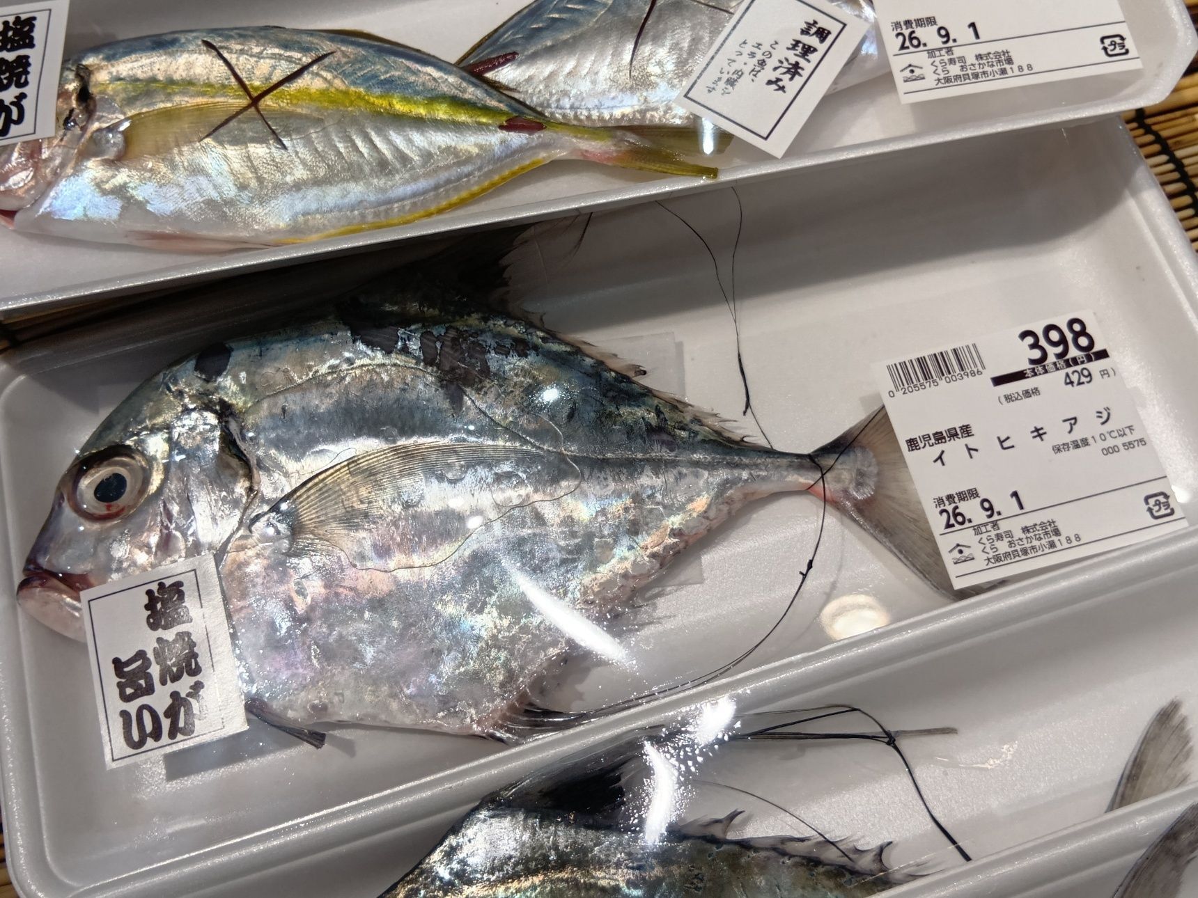 今回、私が気になったのは「イトヒキアジ」！お魚の目利きポイントをこちらの魚で紹介してみますね！