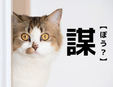【謀】なんて読む？「ぼう」ではありませんよ。ヒントは5文字！【読めそうで読めない漢字クイズ】
