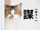 【謀】なんて読む？「ぼう」ではありませんよ。ヒントは5文字！【読めそうで読めない漢字クイズ】