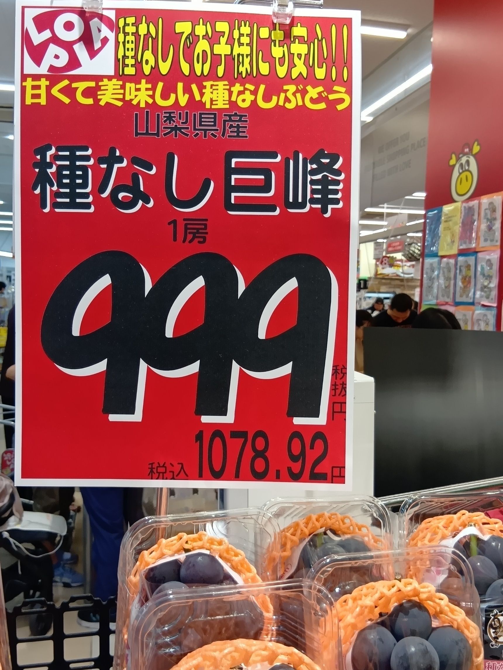 今『ロピア』でぶどう買わなきゃ損？今年はぶどうの当たり年～！目利きポイント＆どこが甘いか知ってる？