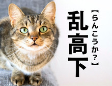 【乱高下】を「らんこうか」と読んだら笑われる！？正しい読み方は？【漢字クイズ】