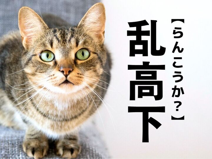 【乱高下】を「らんこうか」と読んだら笑われる!?正しい読み方は?【漢字クイズ】