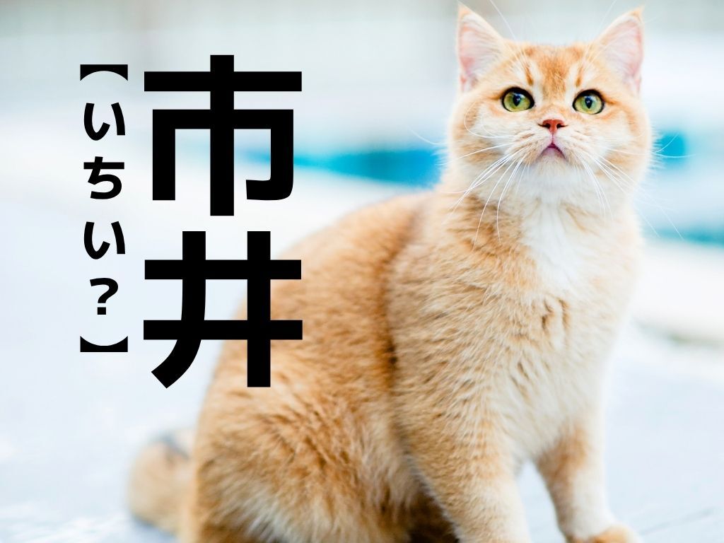 【市井】なんて読む？「いちい」ではありませんよ！【読めそうで読めない漢字クイズ】