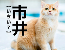 【市井】なんて読む？「いちい」ではありませんよ！【読めそうで読めない漢字クイズ】
