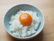 調味料に半日漬ける裏ワザ！ねっとり濃厚食感がたまらない「卵黄漬け」3選でご飯のおかわりが止まらない