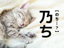 【乃ち】なんて読む？「のち…？」ではありませんよ【難読漢字クイズ】