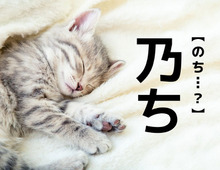 【乃ち】なんて読む？「のち…？」ではありませんよ【難読漢字クイズ】