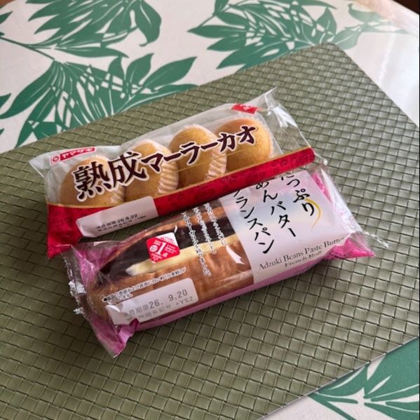 買うつもりはなかったのですが