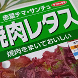 物価高の節約術！チマサンチュの種を愛用中！今年は「赤葉チマ・サンチュ」に挑戦！