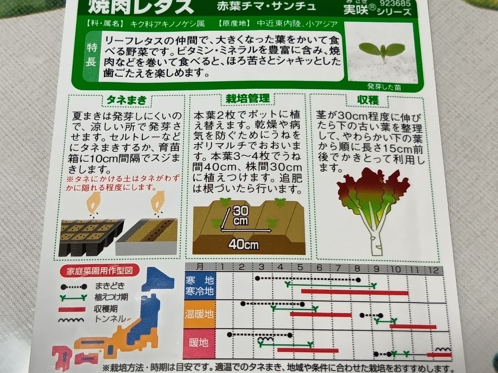 来年の「GREEN×EXPO 2027（国際園芸博覧会）」をちょっぴり意識して、今年はサカタのタネの「赤葉チマ・サンチュ」にしてみましたっ！