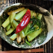 しっとりシャキシャキ！セロリの旨だし醤油漬け。下漬けにも醤油！