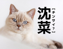 【沈菜】なんて読む？「チンサイ」ではありませんよ！【読めそうで読めない漢字クイズ】