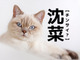 【沈菜】なんて読む？「チンサイ」ではありませんよ！【読めそうで読めない漢字クイズ】