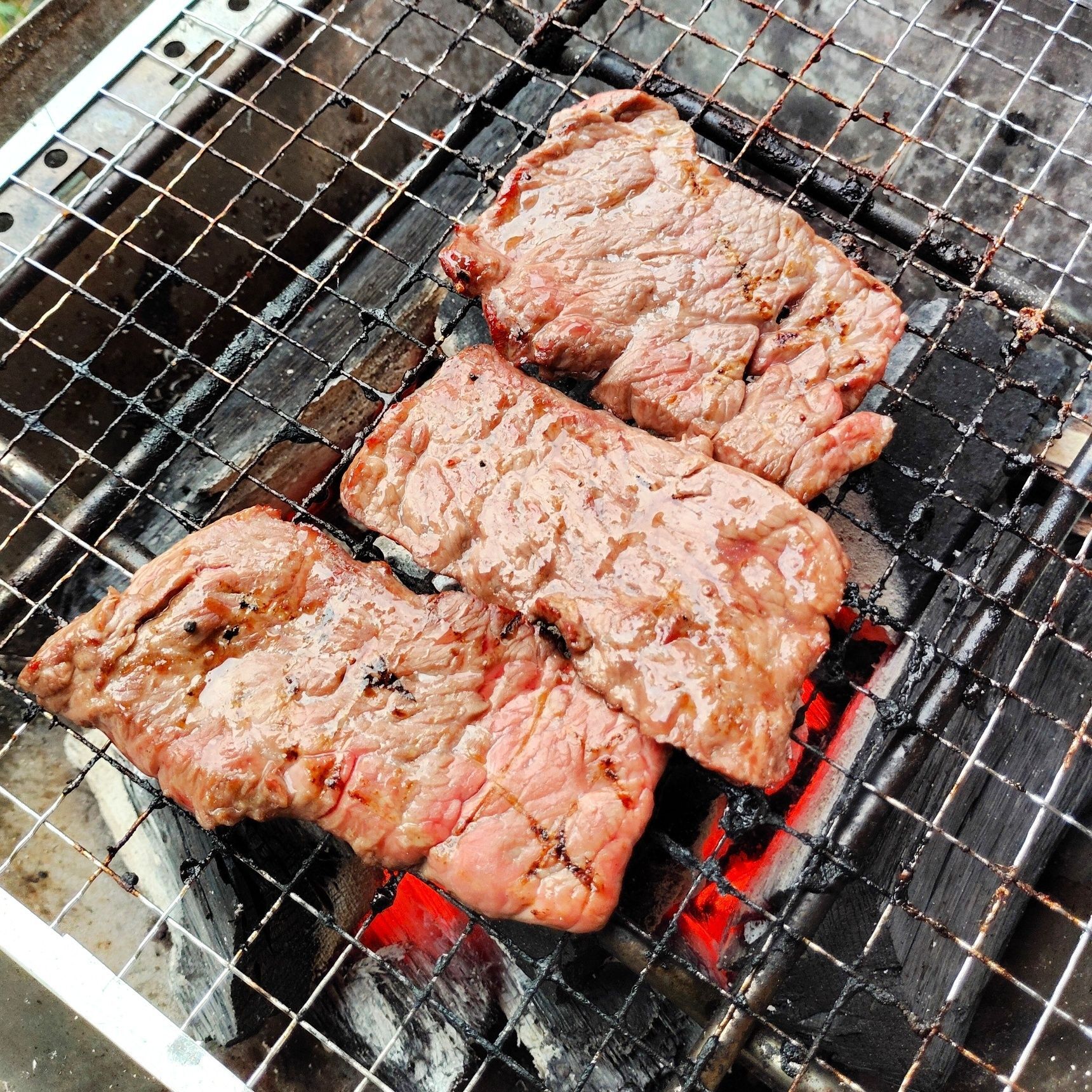 ここがお気に入り