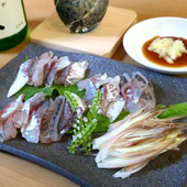 釣ったアジをお刺身でしみじみ味わうシルバーウィークの過ごし方