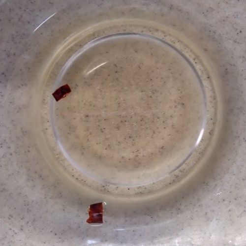 2. 甘酢を作る