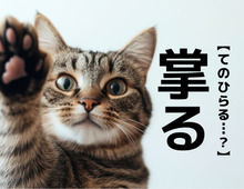 【掌る】なんて読む？「しょうる」でも「てのひらる…？」でもありませんよ。【読めそうで読めない漢字クイズ】