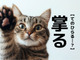 【掌る】なんて読む？「しょうる」でも「てのひらる…？」でもありませんよ。【読めそうで読めない漢字クイズ】