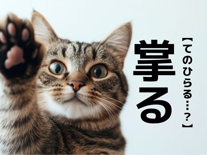 【掌る】なんて読む?「しょうる」でも「てのひらる…?」でもありませんよ。【読めそうで読めない漢字クイズ】