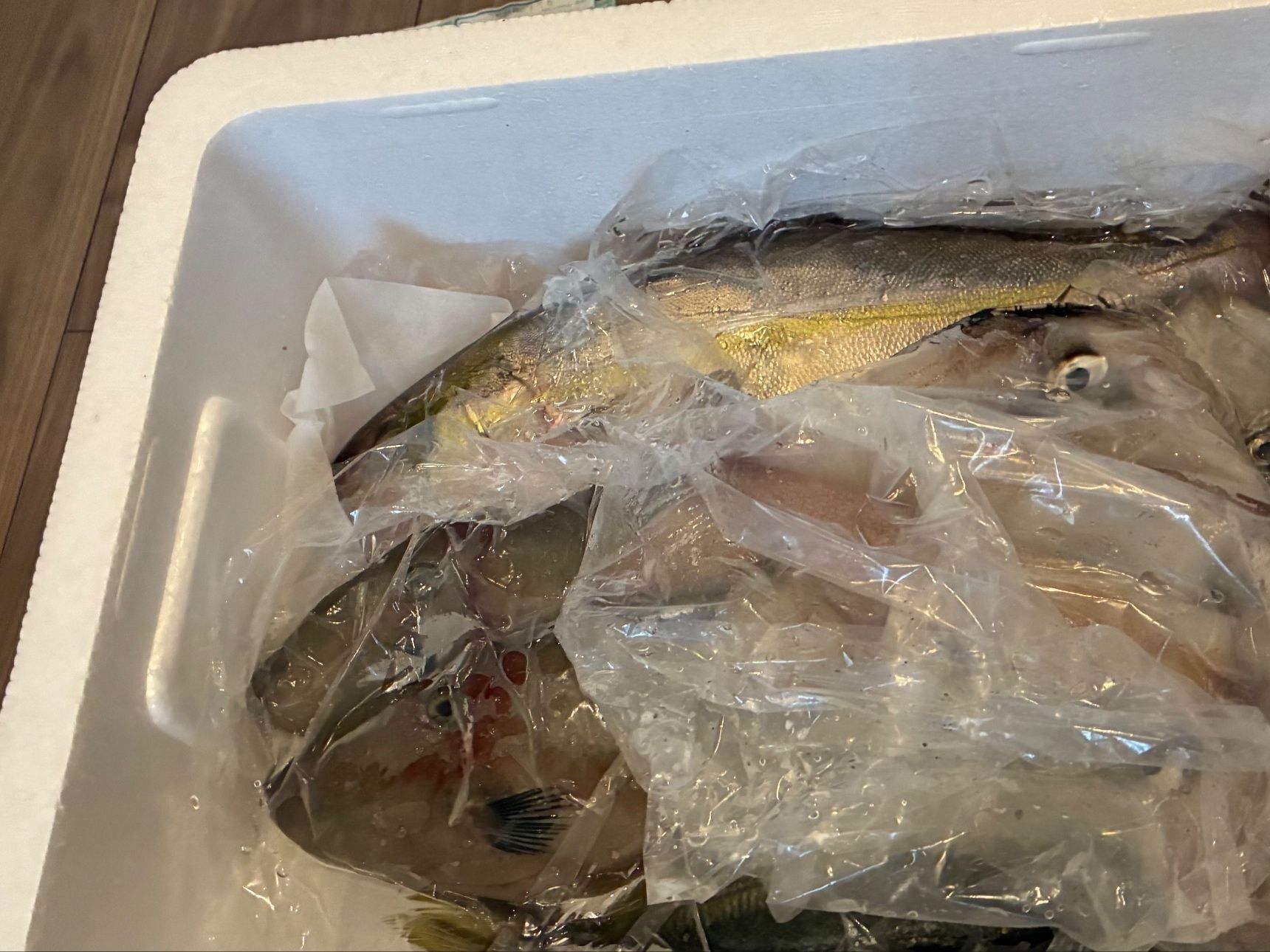 届いた。我が家に。天然魚が。