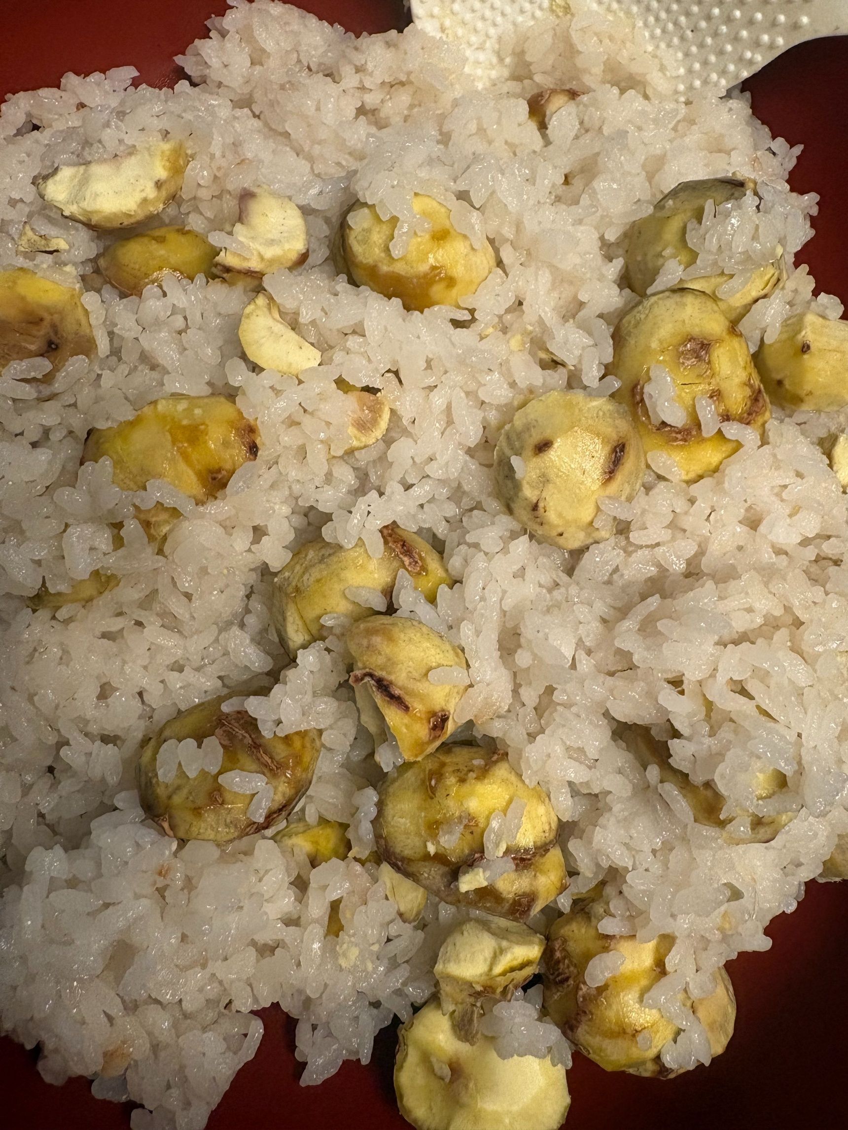 栗ごろごろたっぷりの贅沢栗ご飯！ゴマ塩をかけて頂きました。