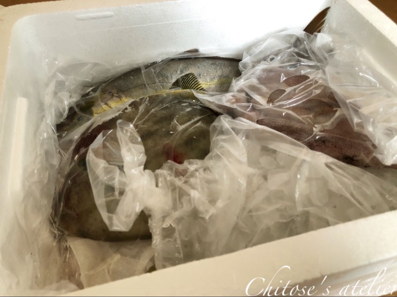 立派な魚がこんなに！家族で協力してさばきました【天然魚クエスト】