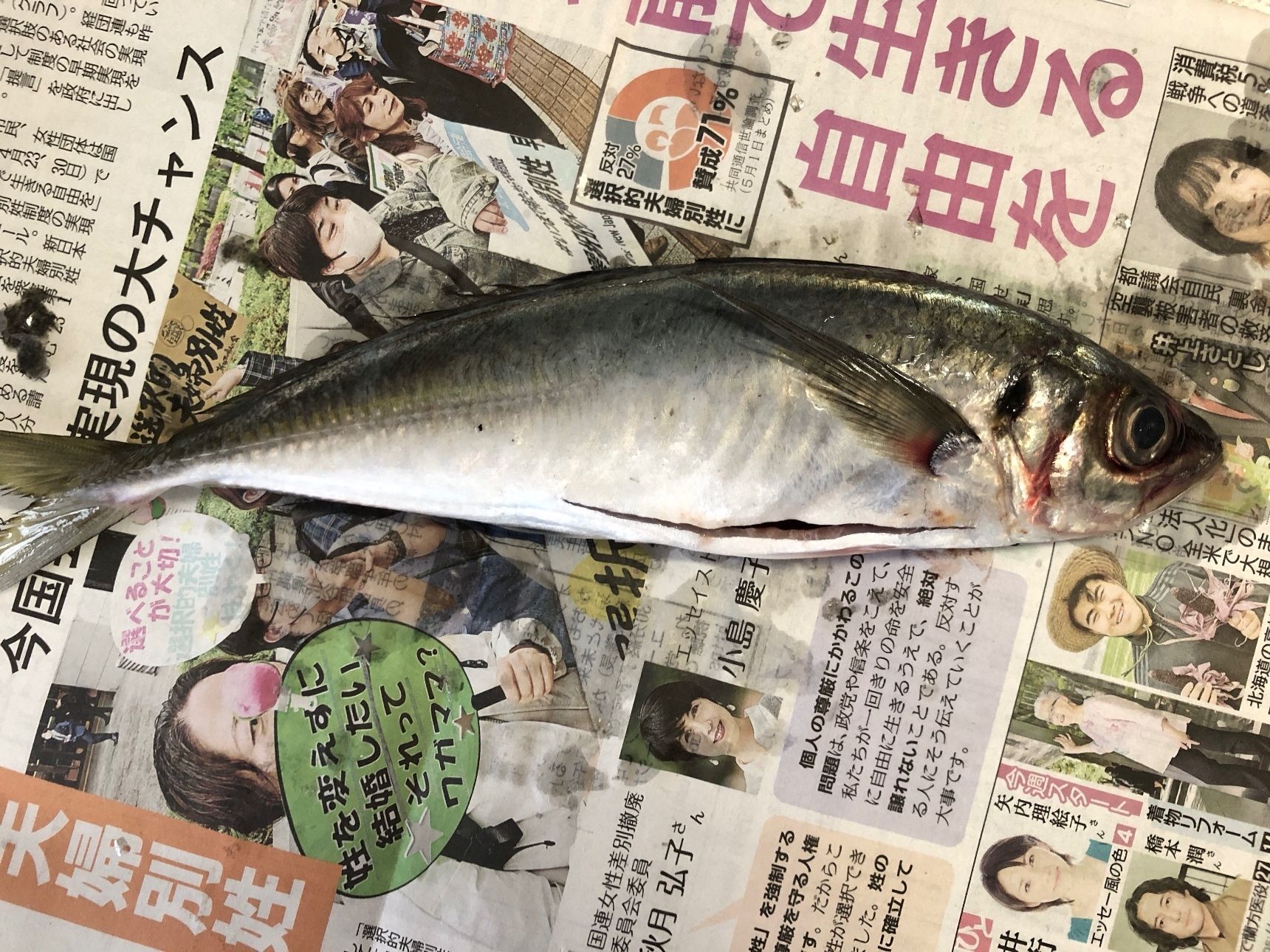 3. アジの内臓を取る