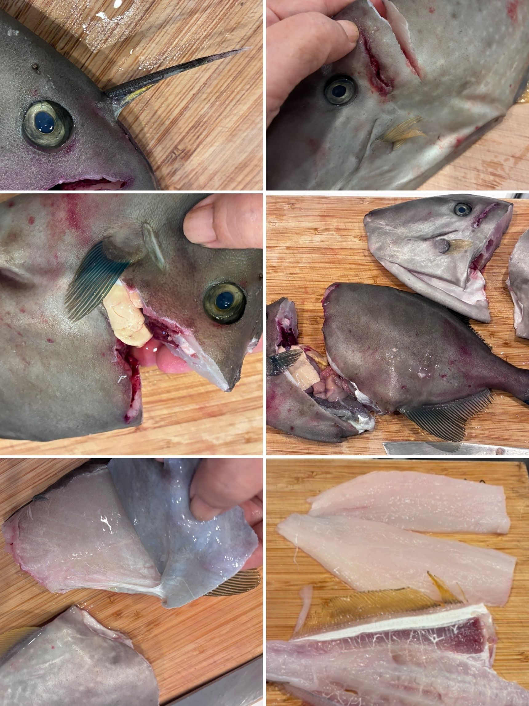 カワハギの処理