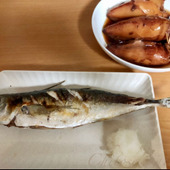 今夜は贅沢に海鮮を楽しんじゃおう！イカとアジを堪能【天然魚クエスト】