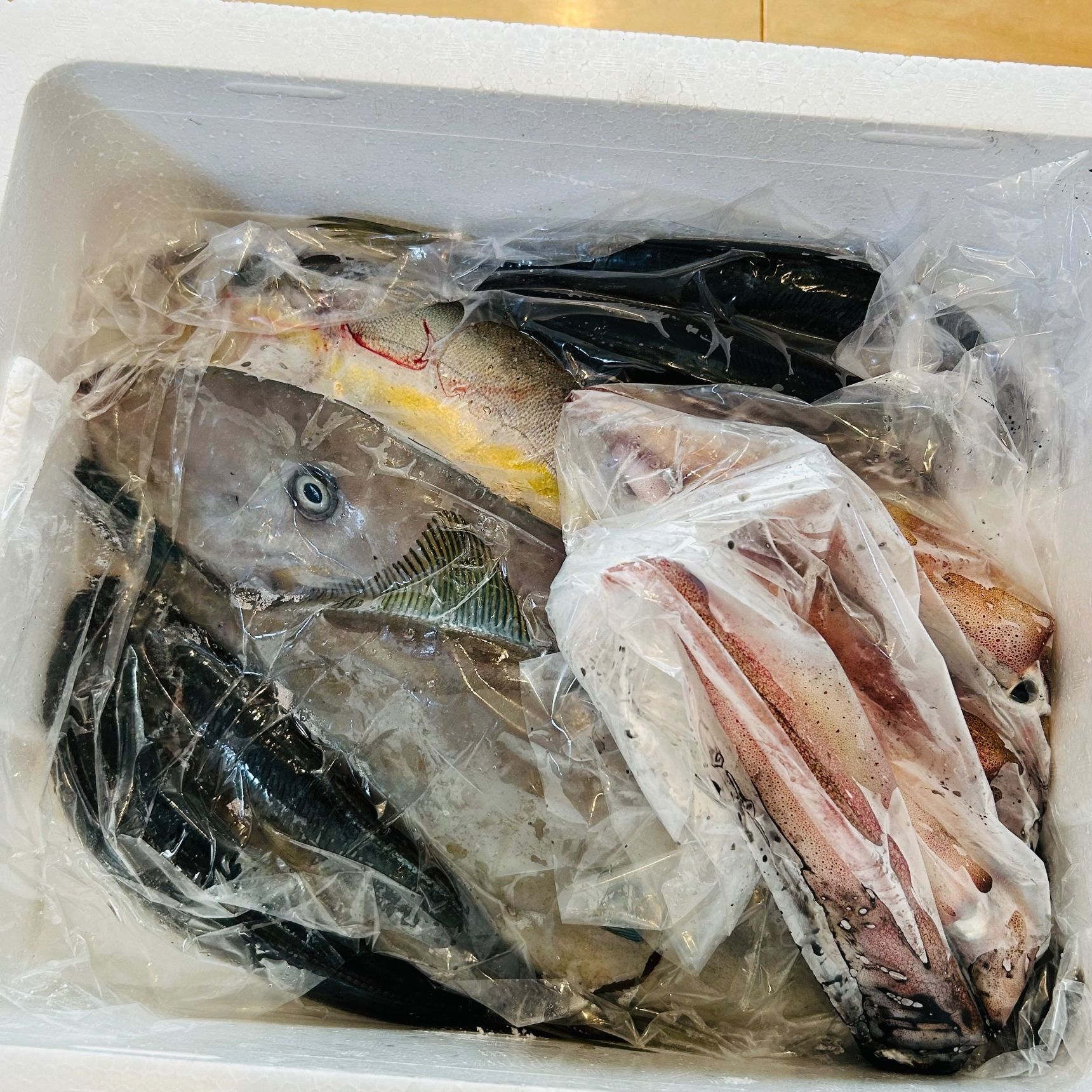 たくさん魚が届きました！