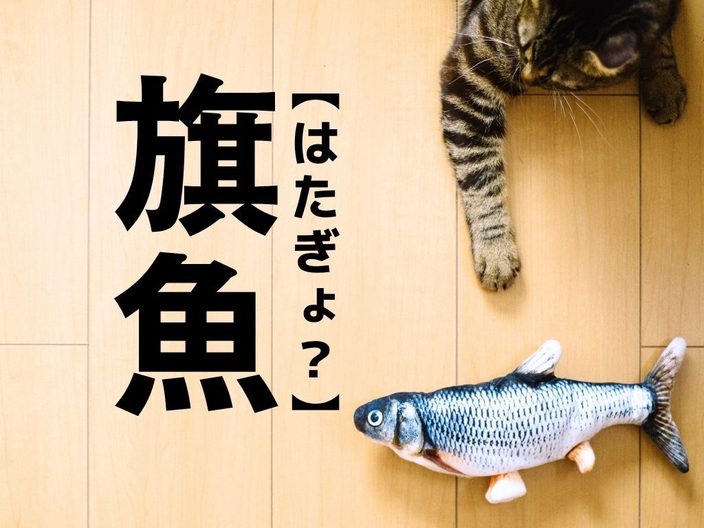 【旗魚】なんて読む？「はたぎょ…」ではなく、みんながよく知る魚の名前です！【漢字クイズ】