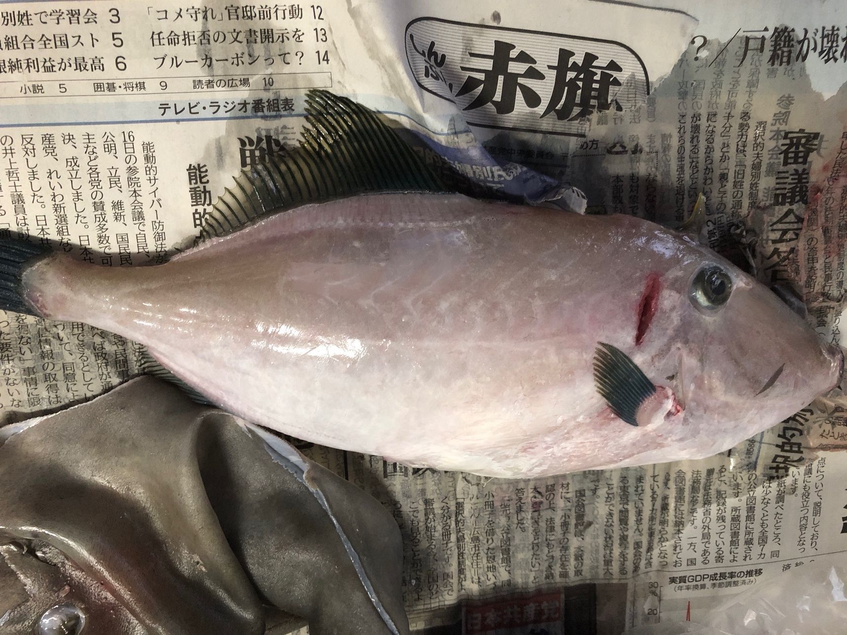 カワハギのさばき方になります