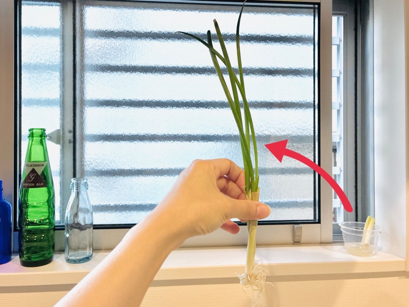 1週間ちょっとで
