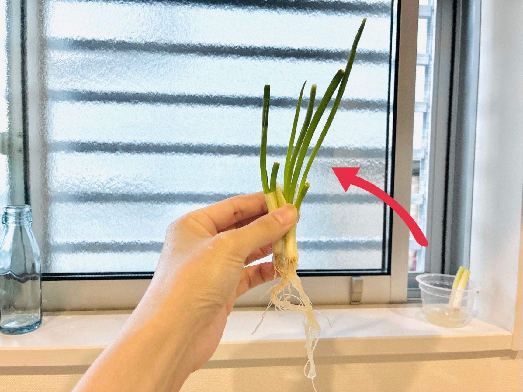 数日で