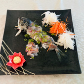 天然魚をおいしく安全に！あじ・いかの刺身は冷凍後のお楽しみ