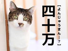 「十万」は「そまん」。では「四十万」はなんて読む？どちらも実在するレア名字！【漢字クイズ】