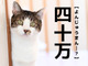 「十万」は「そまん」。では「四十万」はなんて読む？どちらも実在するレア名字！【漢字クイズ】