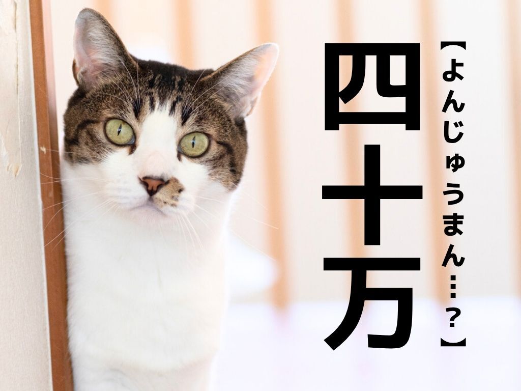 「十万」は「そまん」。では「四十万」はなんて読む？どちらも実在するレア名字！【漢字クイズ】