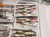 【天然魚クエストに参加中】天然魚について考える
