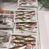 【天然魚クエストに参加中】天然魚について考える