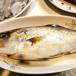 【天然魚クエスト】あなたは一体誰？ブリ御三家って何！？