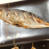 【天然魚クエスト】味わい深い！鯵だけにね…
