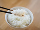 『早炊き』のご飯、硬くなると諦めてない？炊く前の「15分＋15分」で仕上がりを比べてみた！