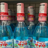 【ドンキ限定】キャップの上に癒しを